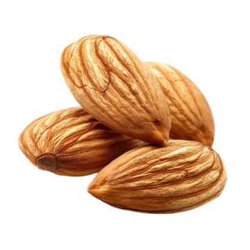 badem peceni vesela basta orasasti plodovi kategorija