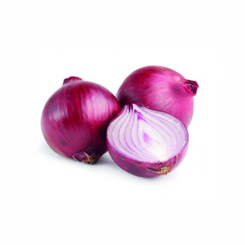 Crveni luk (Ljubičasti luk)